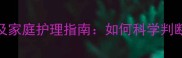 猫咪口臭的六大原因及家庭护理指南如何科学判断和改善宠物口腔健康