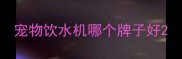 宠物饮水机哪个牌子好