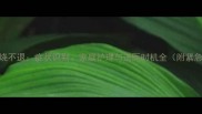 小狗持续高烧不退症状识别家庭护理与送医时机全附紧急处理指南