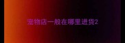 宠物店一般在哪里进货