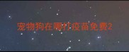 宠物狗在哪打疫苗免费