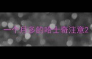 一个月多的哈士奇注意
