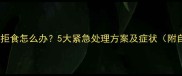 金毛犬呕吐拒食怎么办5大紧急处理方案及症状附自救指南