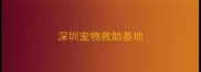 深圳宠物救助基地