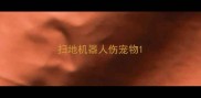扫地机器人伤宠物