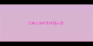 拉布拉多标准体型头版