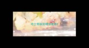 哈士奇尴尬期啥意思