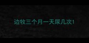 边牧三个月一天尿几次