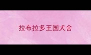 拉布拉多王国犬舍