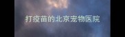 打疫苗的北京宠物医院