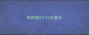 狗狗第6个月体重长