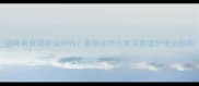 猫咪肾衰竭能治好吗最新诊疗方案及家庭护理全指南