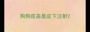 狗狗疫苗是皮下注射