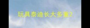 玩具泰迪长大多重