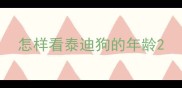 怎样看泰迪狗的年龄