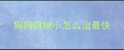 狗狗得细小怎么治最快