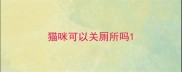 猫咪可以关厕所吗