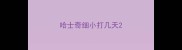 哈士奇细小打几天