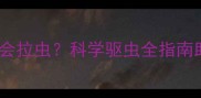 狗狗驱虫后为何还会拉虫科学驱虫全指南助您避开三大误区