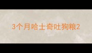 3个月哈士奇吐狗粮