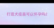 打逛犬疫苗可以怀孕吗