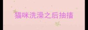 猫咪洗澡之后抽搐