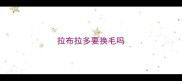 拉布拉多要换毛吗