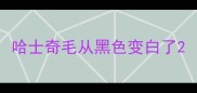 哈士奇毛从黑色变白了