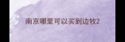 南京哪里可以买到边牧
