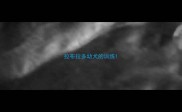 拉布拉多幼犬的训练