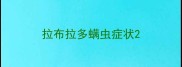拉布拉多螨虫症状