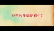 拉布拉多粪便有虫