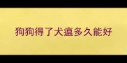 狗狗得了犬瘟多久能好