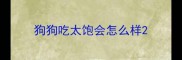 狗狗吃太饱会怎么样