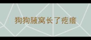 狗狗腋窝长了疙瘩