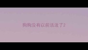 狗狗没有以前活泼了