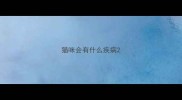 猫咪会有什么疾病