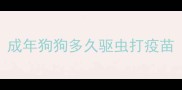 成年狗狗多久驱虫打疫苗