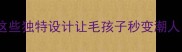 宠物纹身创意合集这些独特设计让毛孩子秒变潮人附纹身店避坑指南
