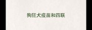 狗狂犬疫苗和四联