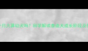 泰迪七个月大算幼犬吗科学解读泰迪犬成长阶段及护理指南