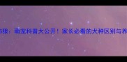 哈士奇VS狼萌宠科普大公开家长必看的犬种区别与养护指南