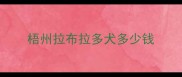 梧州拉布拉多犬多少钱