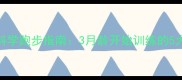 金毛幼犬科学跑步指南3月龄开始训练的5大关键要点