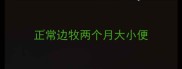 正常边牧两个月大小便