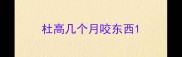杜高几个月咬东西