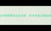 每月狗需要驱虫全流程科学养宠必看指南