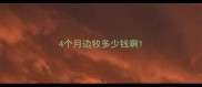 4个月边牧多少钱啊