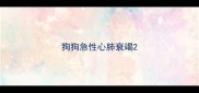 狗狗急性心肺衰竭