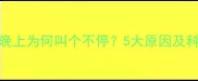 拉布拉多犬晚上为何叫个不停5大原因及科学应对指南